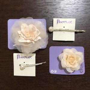 Set of Hair Clips